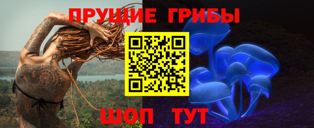 Галлюциногенные грибы MAGIC MUSHROOMS Углич
