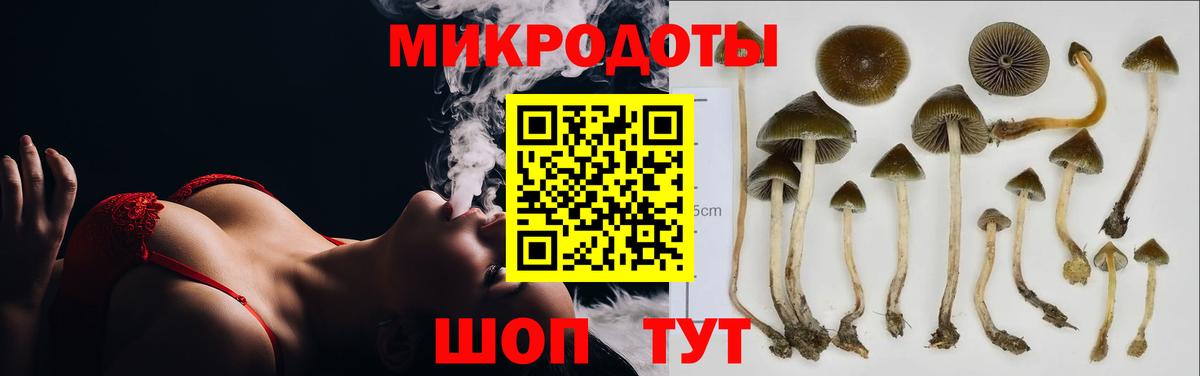 Псилоцибиновые грибы мицелий  Галлюциногенные грибы мицелий  Вход с VPN  Углич 